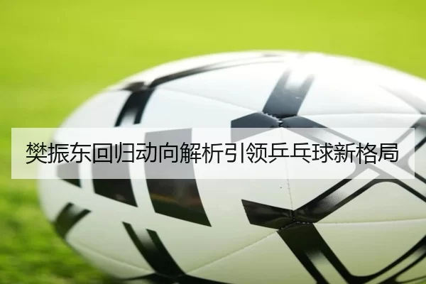 樊振东回归动向解析引领乒乓球新格局